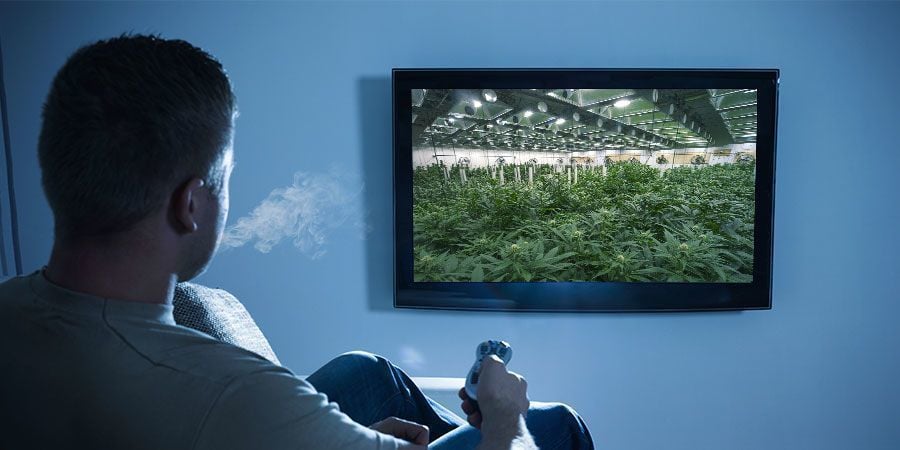 COUPLER DE LA WEED À CES DOCUMENTAIRES