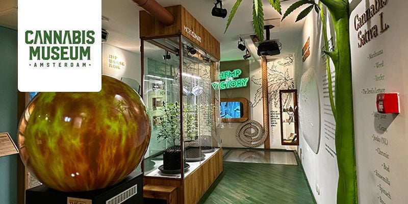 Cannabis Museum - Amsterdam, Pays-Bas