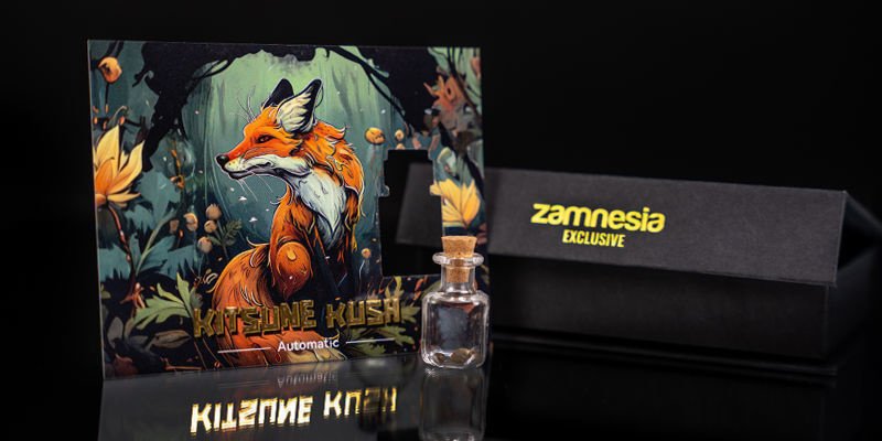 Palier 1 — Scouting Fox : Kitsune Kush Auto