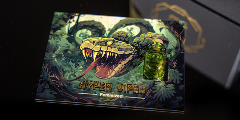 Palier 2 — Rising Cobra : Hyper Vyper