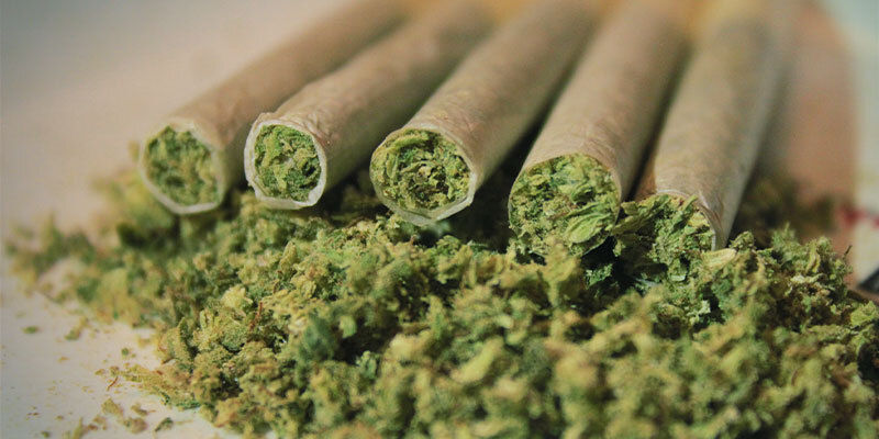 Que Se Passe-T-Il Lorsque Vous Fumez Ou Mangez Trop De cannabis ?