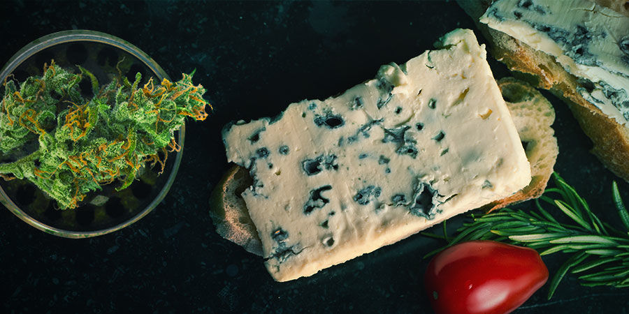 BLUE CHEESE : GOÛTS & EFFETS