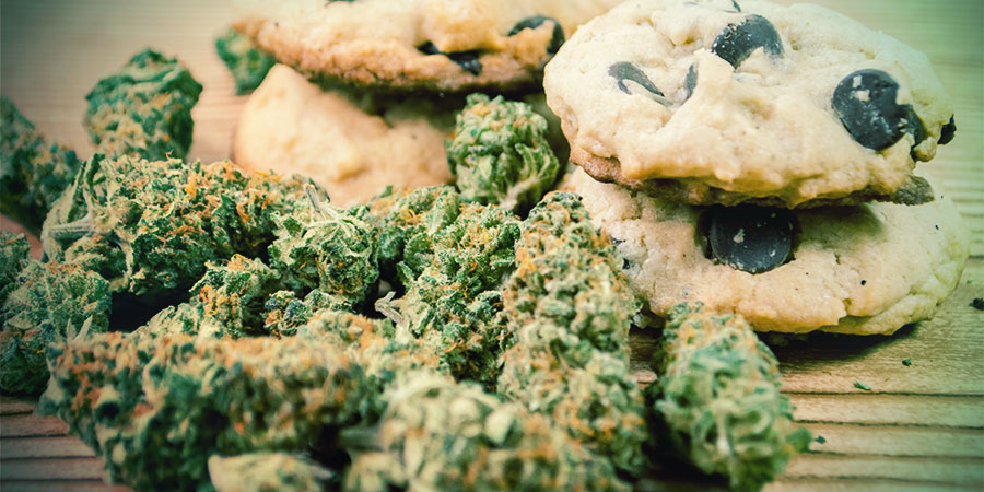 Le Cannabis Améliorer L’appétit