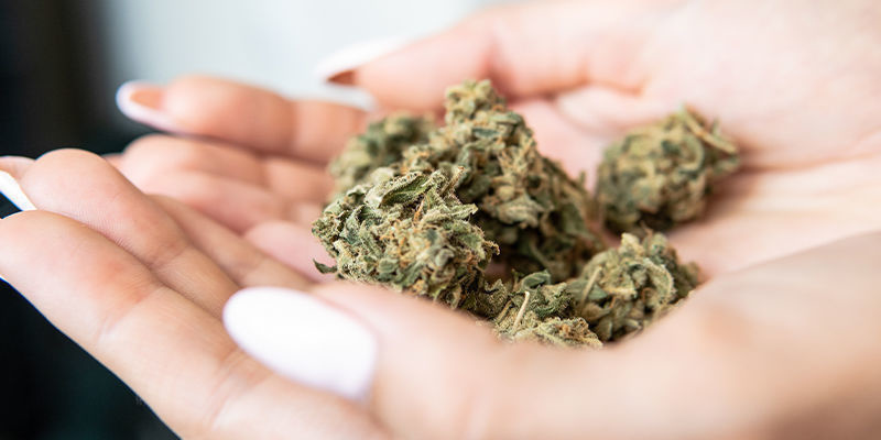 Les avantages de l’utilisation du cannabis comme outil de biohacking