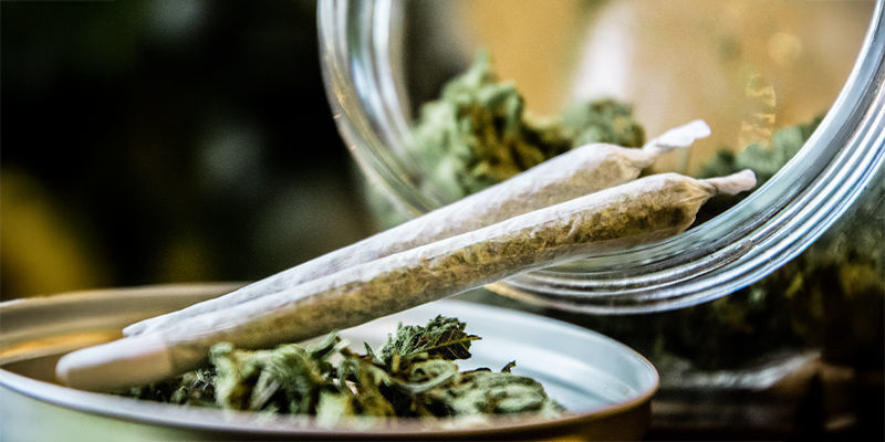 Risques, inconvénients et considérations éthiques du biohacking au cannabis