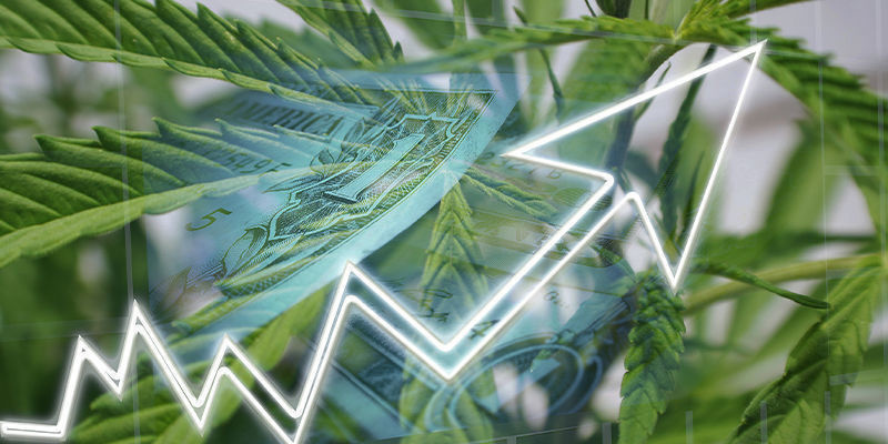 Qu’est-ce que l’IA a à offrir au secteur du cannabis ?