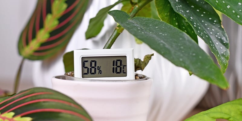 Maintenir un taux d’humidité adéquat