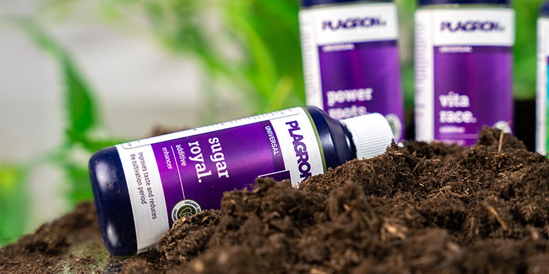 Que sont les additifs pour cannabis ?