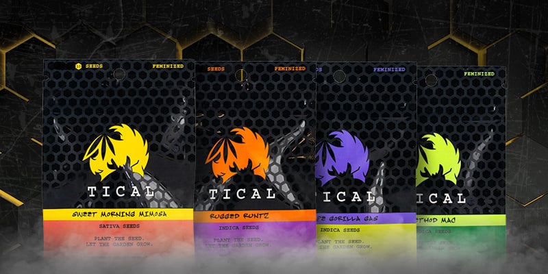 Découvrez les variétés exclusives TICAL