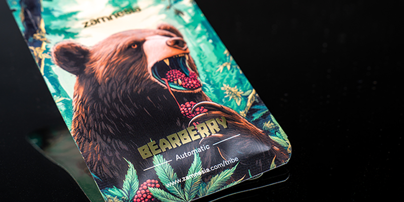 Rang 4 : Bearberry Automatic (Zamnesia Seeds)