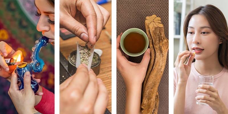 Comment la DMT est-elle consommée ?