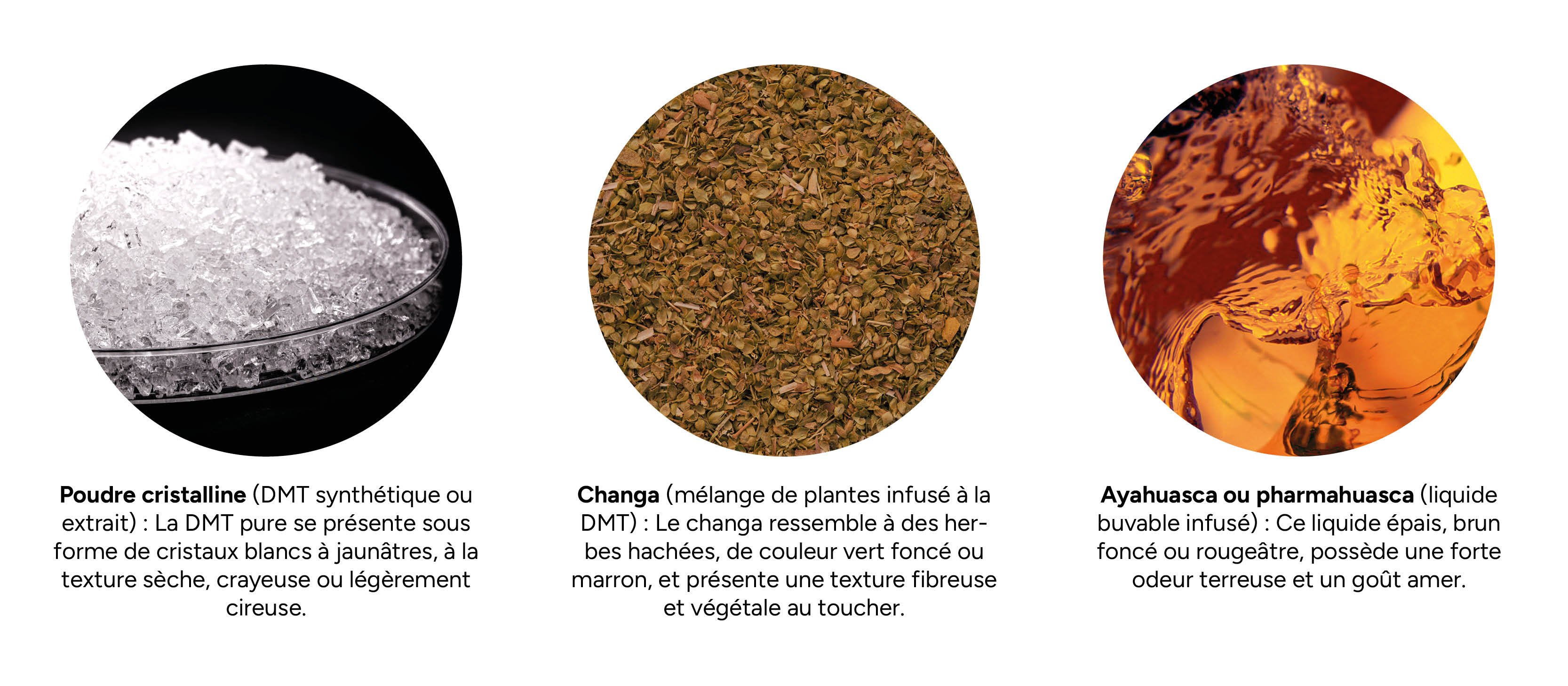 À quoi ressemble la DMT ?