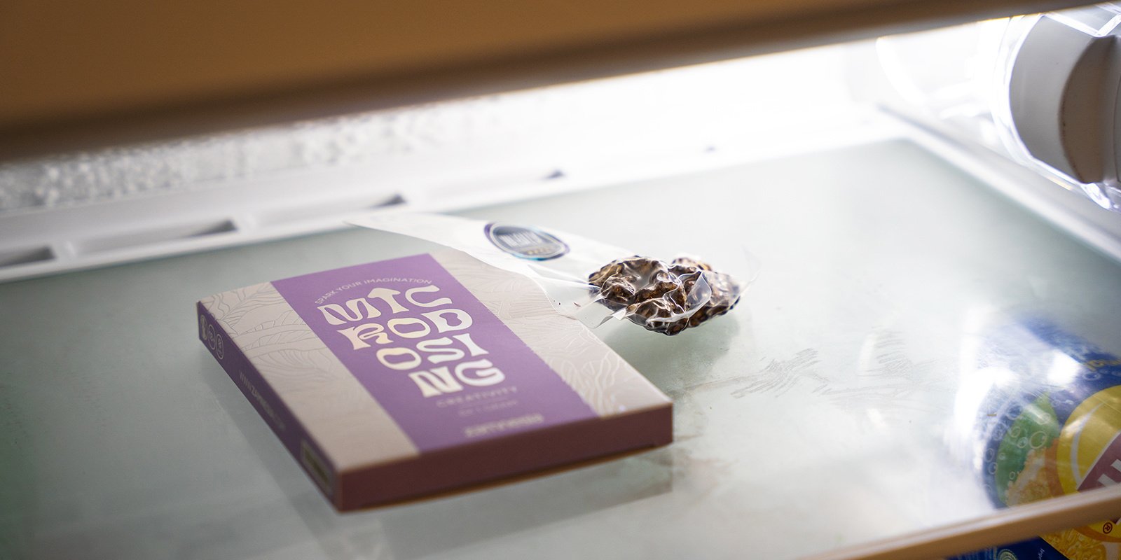 Comment conserver vos truffes magiques pour une fraîcheur optimale :