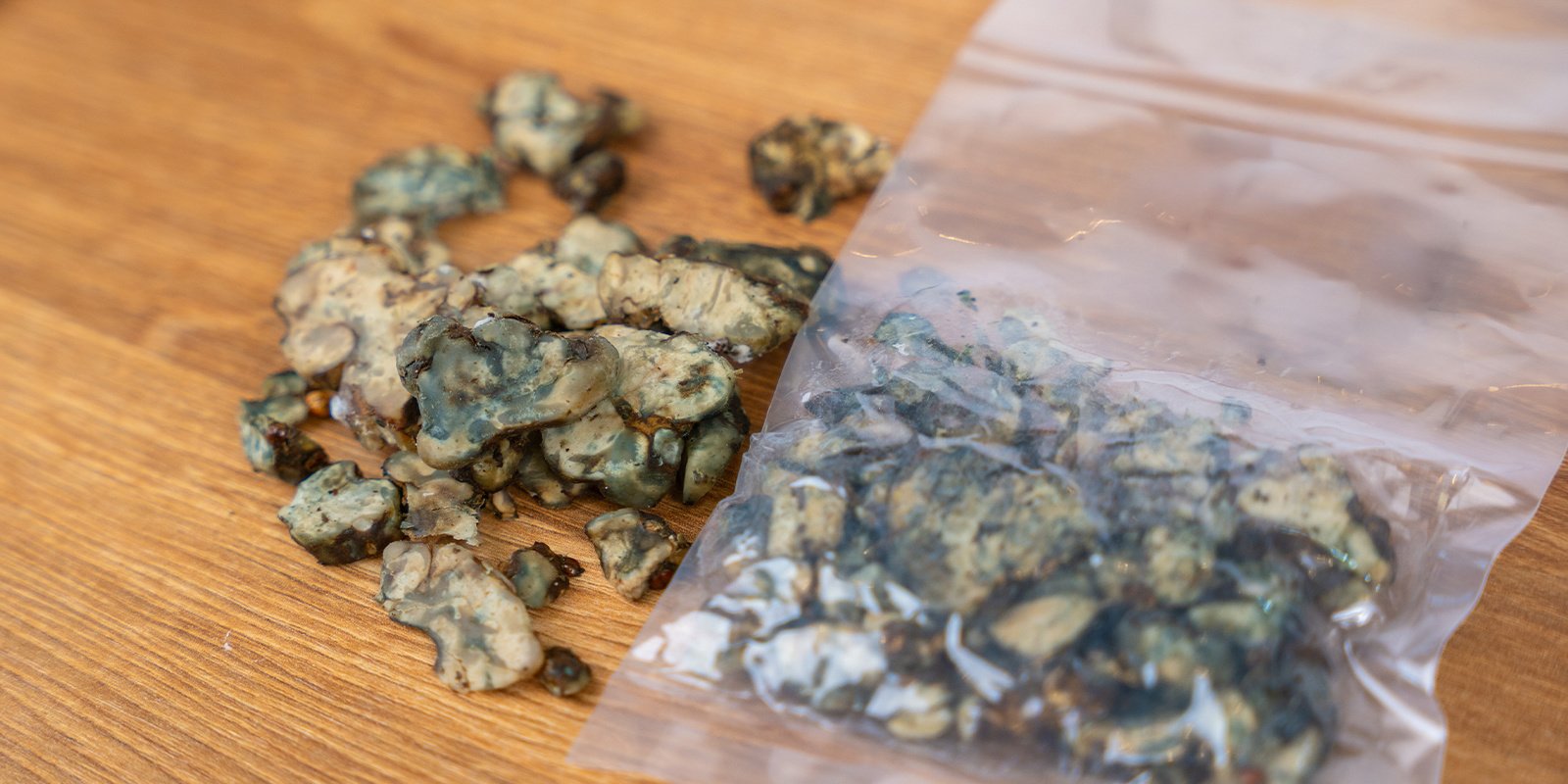 Comment savoir si des truffes magiques sont avariées