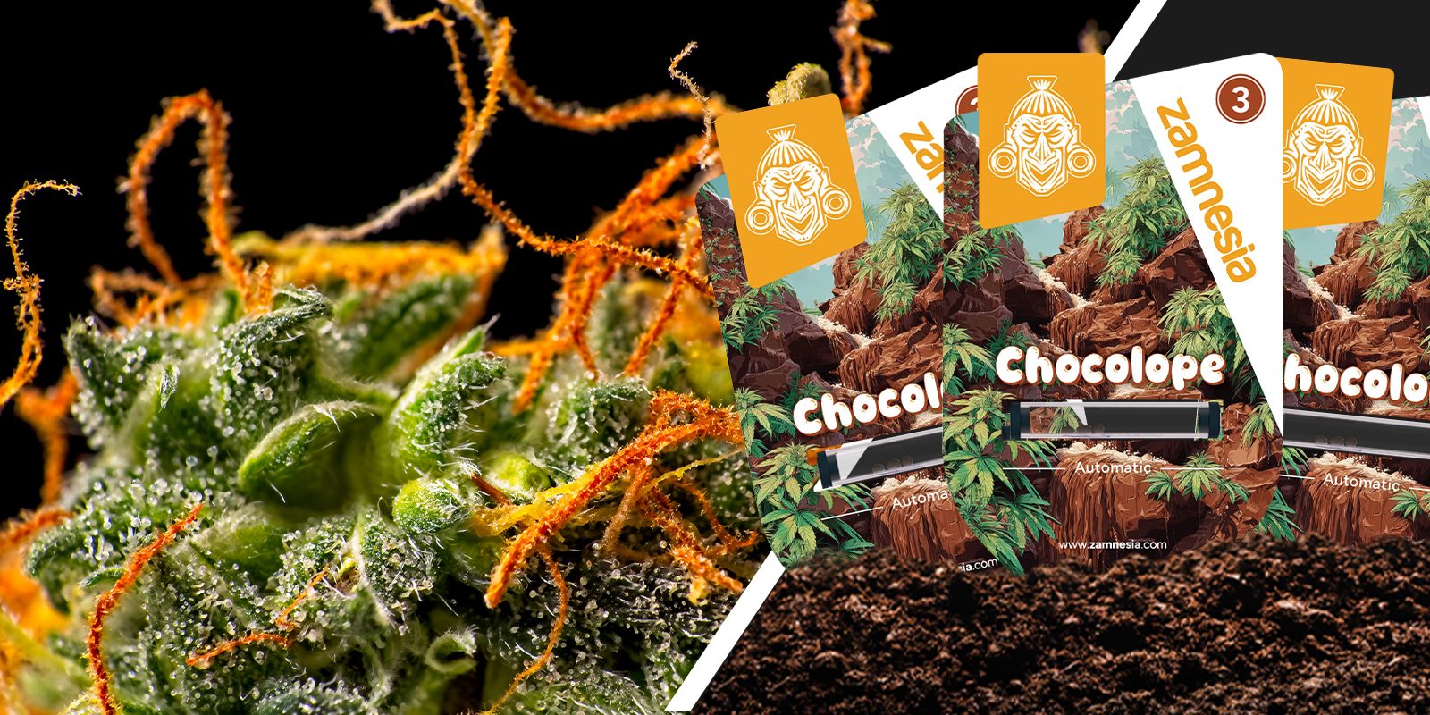 Chocolope : ambiance nostalgique et twist chocolaté Chocolope : ambiance nostalgique et twist chocolaté