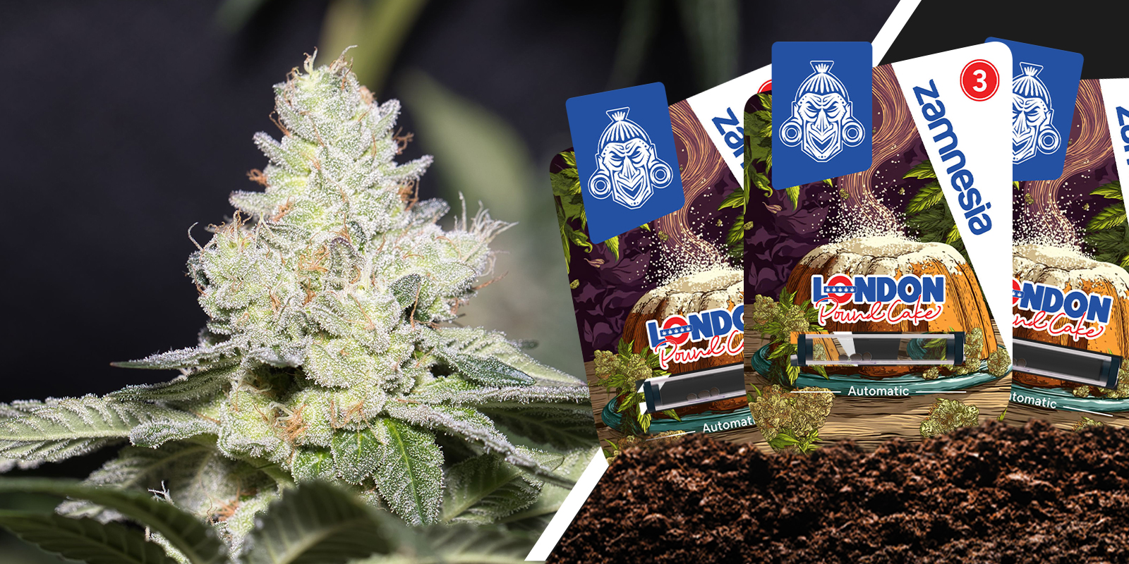 London Pound Cake : un classique velouté aux saveurs de pâtisserie London Pound Cake : un classique velouté aux saveurs de pâtisserie