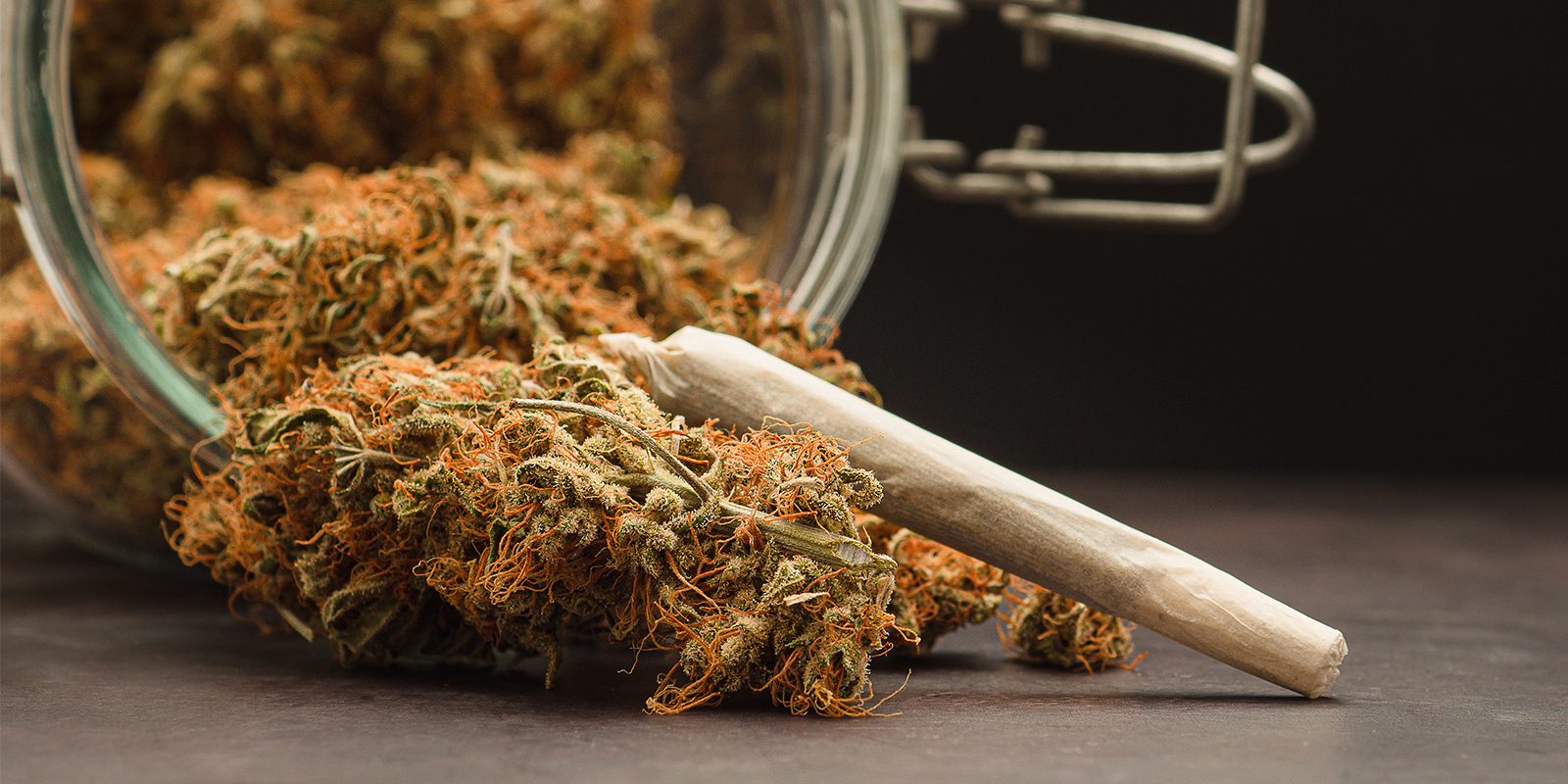 Les joyaux de la vallée, de la graine au bocal Les joyaux de la vallée, de la graine au bocal