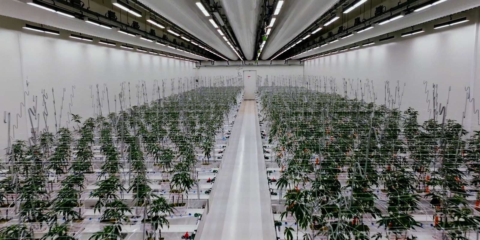 Une masterclass de la culture r&eacute;glement&eacute;e