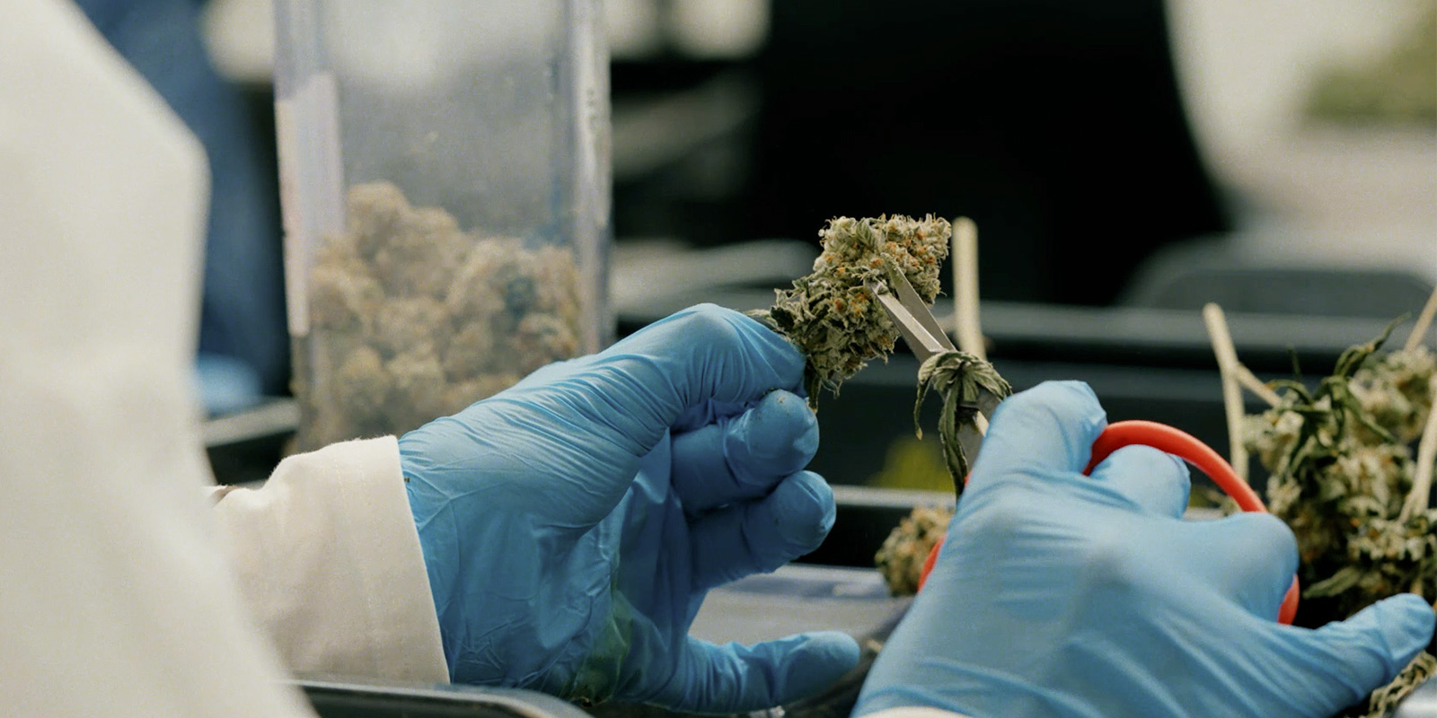 Impact sur la communaut&eacute; et l&rsquo;avenir