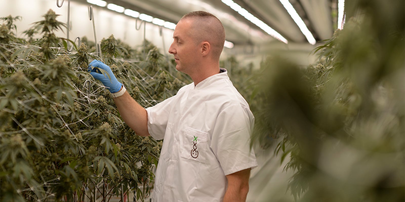 S&rsquo;orienter dans le paysage actuel de l&rsquo;exp&eacute;rimentation