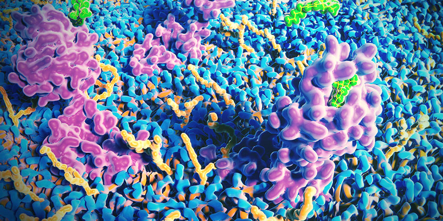 Le Système Endocannabinoïde De La Peau LE SYSTÈME ENDOCANNABINOÏDE DE LA PEAU