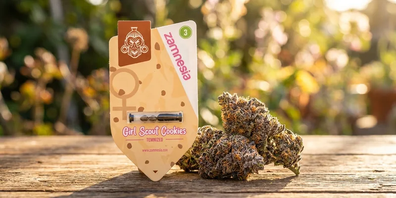 Girl Scout Cookies (Zamnesia Seeds) Girl Scout Cookies (Zamnesia Seeds)
