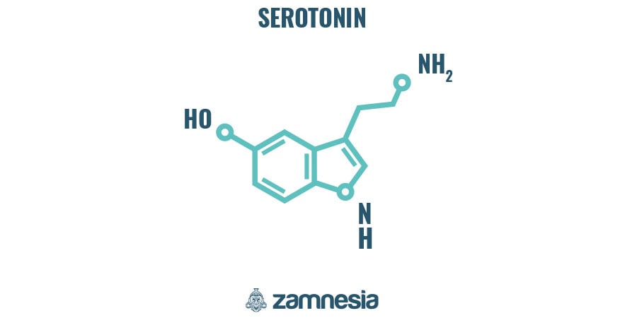 Comment Agit Le LSD ?