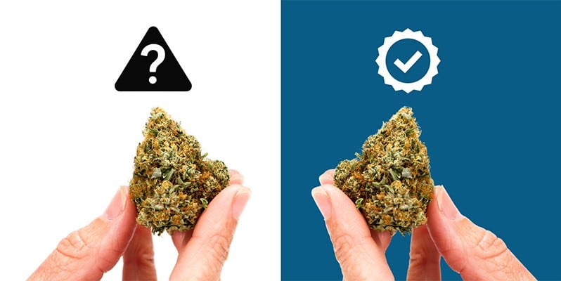 Raison n°2 : Maîtrise totale de la qualité