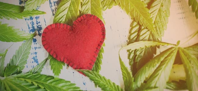 Pousser Votre Propre Herbe : Vous développez une relation avec la plante