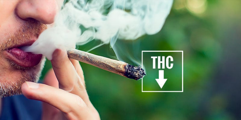 Comment prévenir l’irritation des yeux à cause du cannabis