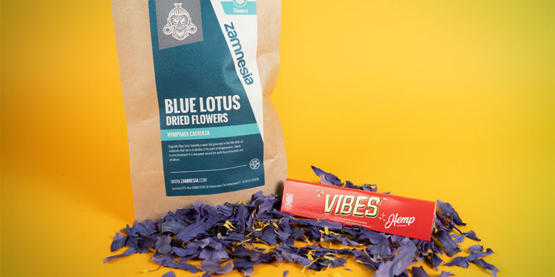 Lotus bleu