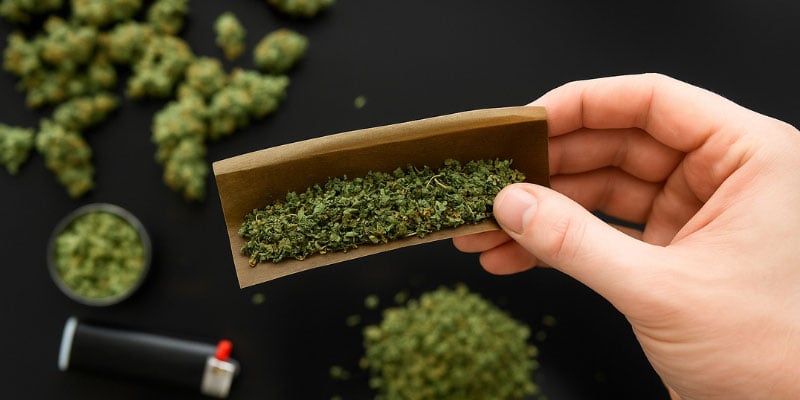 Fleur de CBD (la plus populaire)