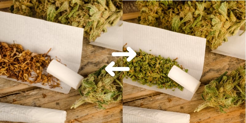 Pourquoi remplacer le tabac dans vos joints ?
