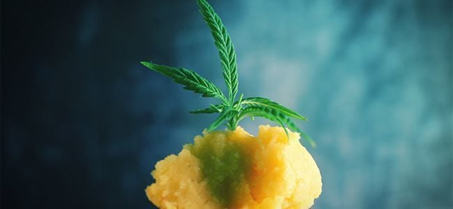 Purée De Pommes De Terre Avec Cannabis