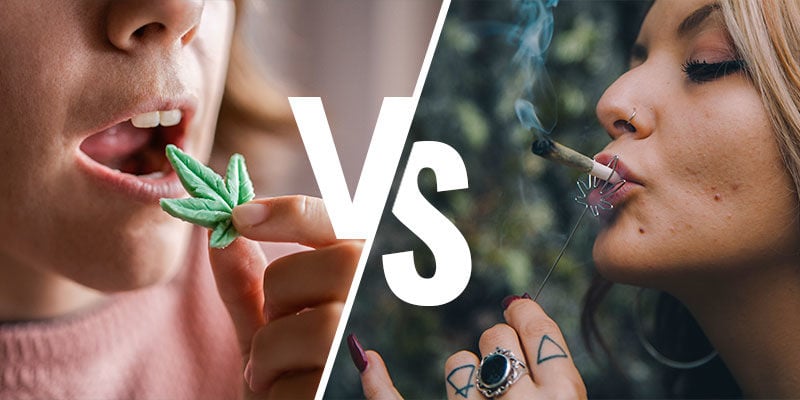 Manger Ou Fumer Du Cannabis : Comment Le THC Pénètre Dans Le Corps