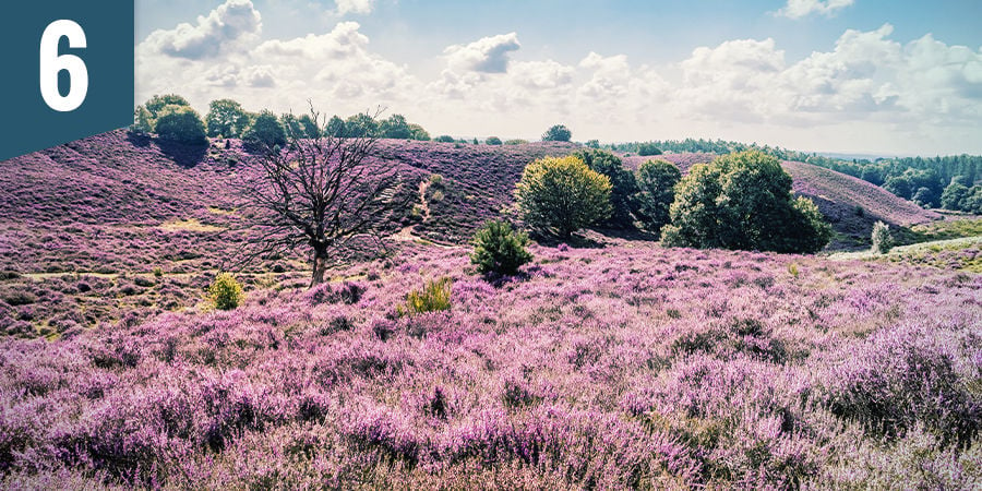 Perdez-vous dans une vue panoramique