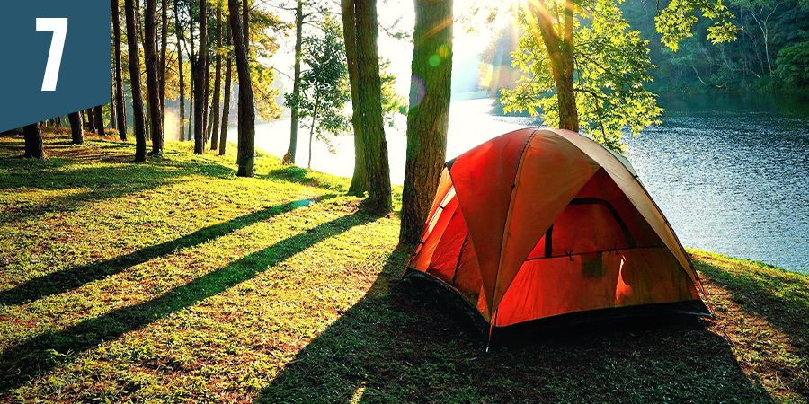 Partez camper dans la forêt