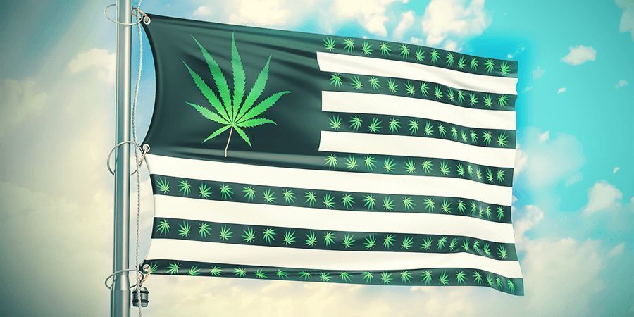WORKING IN THE CANNABIS INDUSTRY