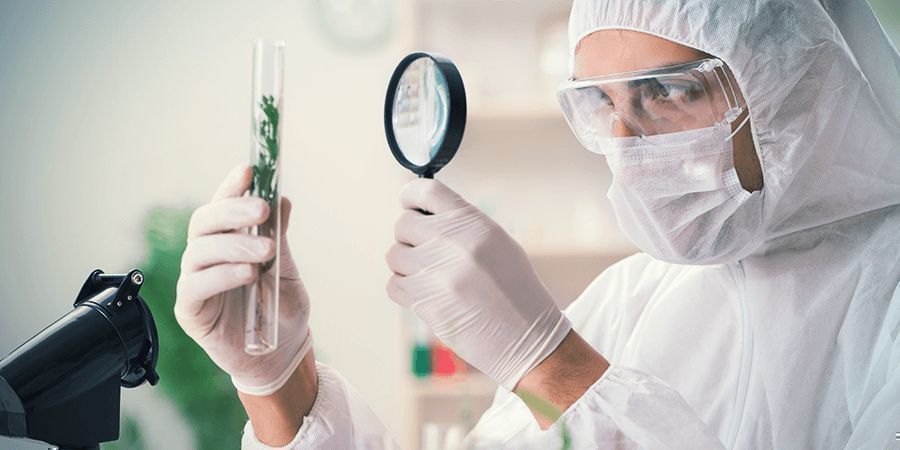 TRAVAILLER DANS L’INDUSTRIE DU CANNABIS