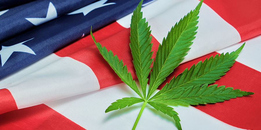 Quel Est Le Poids De L’industrie Du Cannabis Aux États-Unis ?