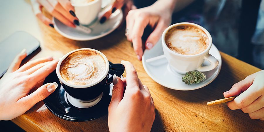 LES EFFETS DU CANNABIS ET DU CAFÉ DIFFÉRERONT D'UNE PERSONNE À L'AUTRE