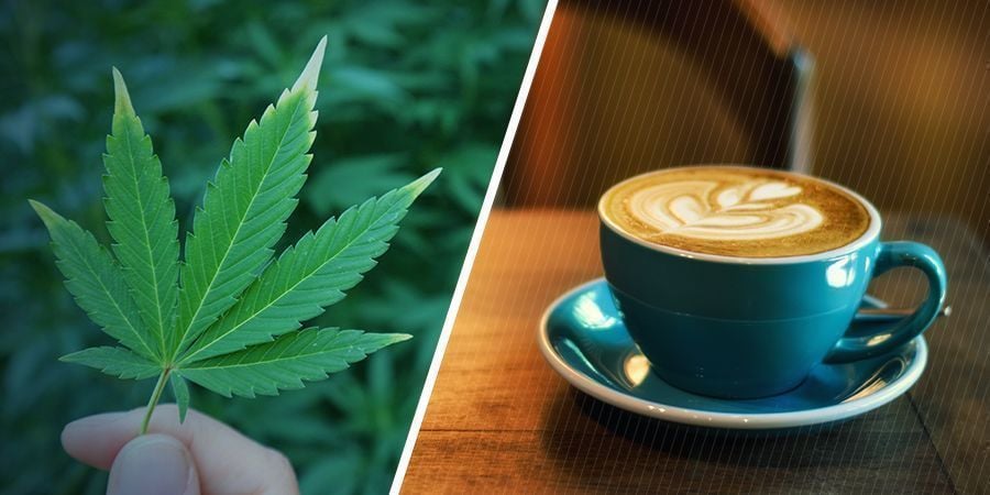 QUELS SONT LES EFFETS DU CANNABIS ET DE LA CAFÉINE SÉPARÉMENT ?