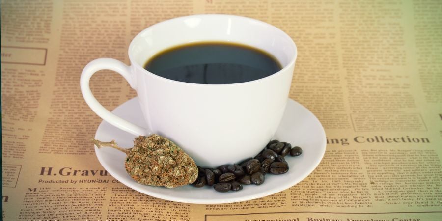 QUE SE PASSE-TIL QUAND ON MÉLANGE CANNABIS ET CAFÉINE ?