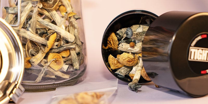 Comment conserver les champignons secs