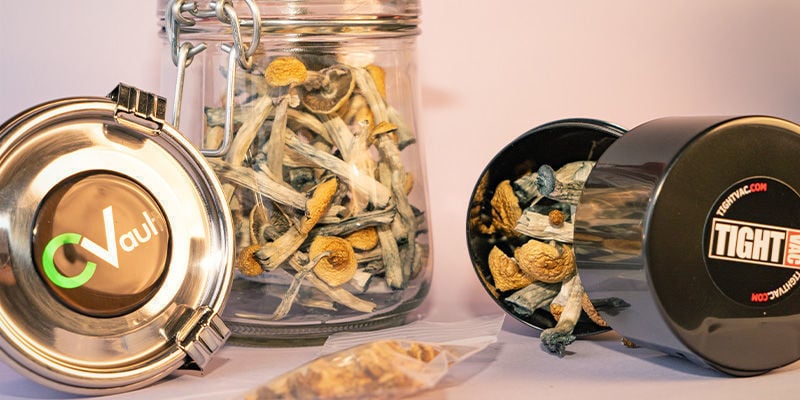 Conserver ses truffes et champignons magiques dans un contenant hermétique ou un sac congélation