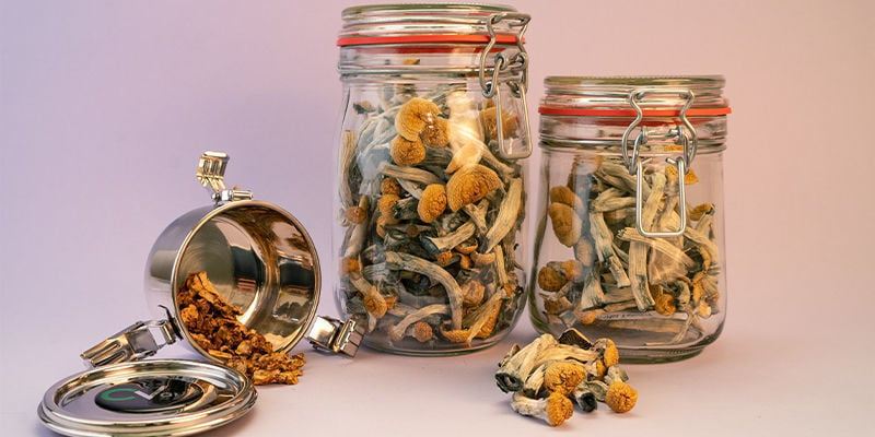 L’importance d’une bonne conservation de ses truffes et champignons magiques