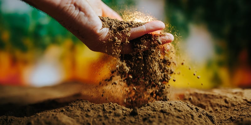 Conseil n° 4 : cultivez votre herbe dans le bon sol/milieu