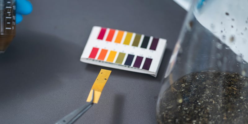 Conseil n° 7 : entretenez correctement le pH de vos cultures de cannabis