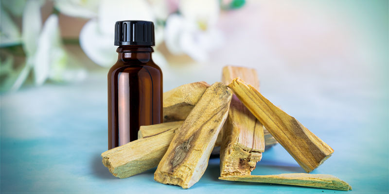 Comment Brûler L’Huile Essentielle De Palo Santo