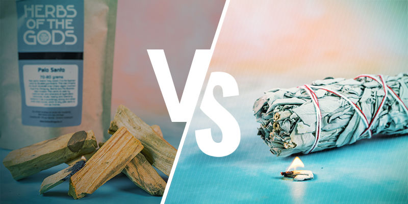 Bois De Palo Santo Vs Sauge